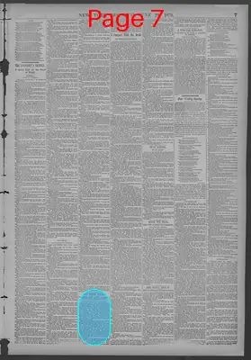 Page thumbnail for New York Dispatch