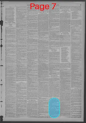 Page thumbnail for New York Dispatch