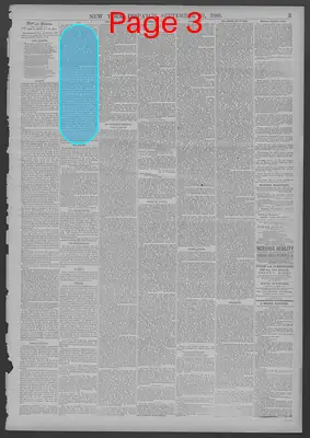 Page thumbnail for New York Dispatch