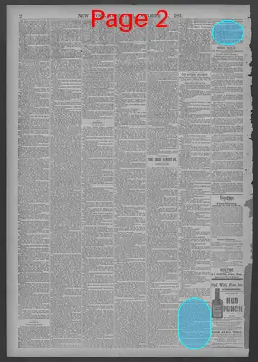 Page thumbnail for New York Dispatch