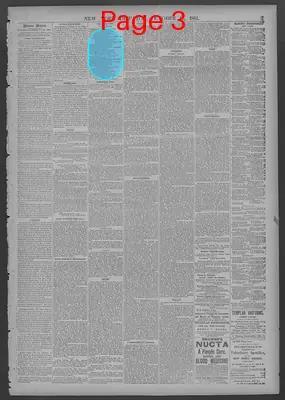 Page thumbnail for New York Dispatch