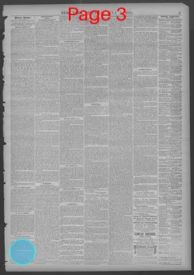 Page thumbnail for New York Dispatch