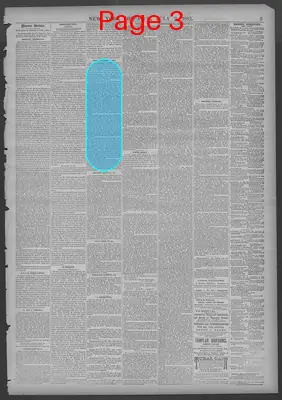 Page thumbnail for New York Dispatch