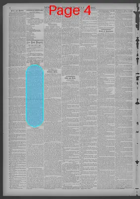 Page thumbnail for New York Dispatch