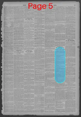 Page thumbnail for New York Dispatch