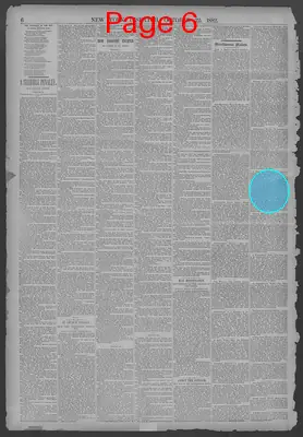 Page thumbnail for New York Dispatch