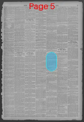 Page thumbnail for New York Dispatch