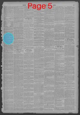 Page thumbnail for New York Dispatch