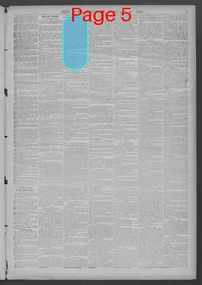 Page thumbnail for New York Dispatch