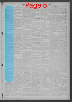 Page thumbnail for New York Dispatch