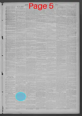 Page thumbnail for New York Dispatch