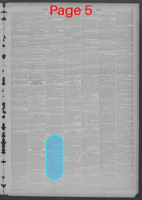 Page thumbnail for New York Dispatch