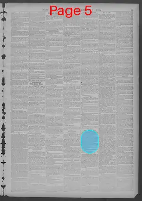 Page thumbnail for New York Dispatch