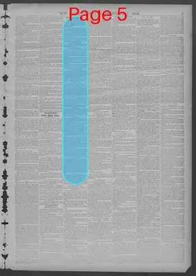 Page thumbnail for New York Dispatch