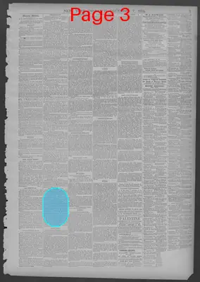Page thumbnail for New York Dispatch