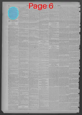 Page thumbnail for New York Dispatch