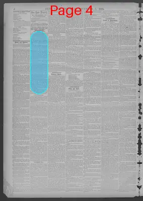 Page thumbnail for New York Dispatch