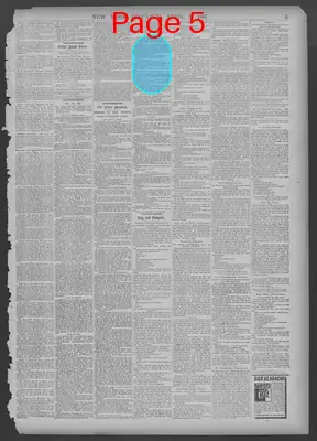 Page thumbnail for New York Dispatch