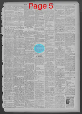 Page thumbnail for New York Dispatch