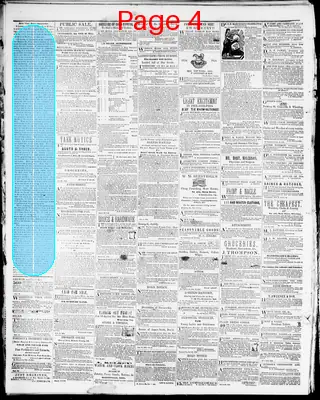 Page thumbnail for Belmont Chronicle