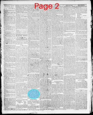 Page thumbnail for Belmont Chronicle