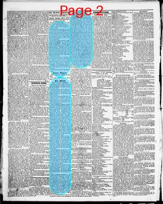 Page thumbnail for Belmont Chronicle