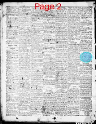 Page thumbnail for Belmont Chronicle