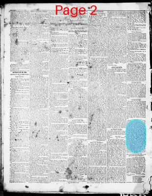 Page thumbnail for Belmont Chronicle