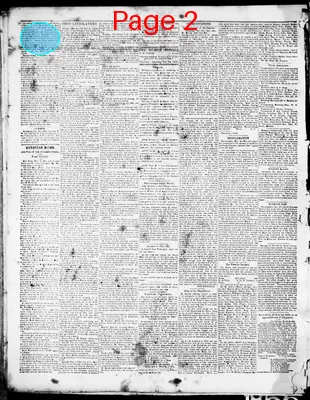Page thumbnail for Belmont Chronicle