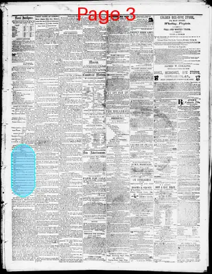 Page thumbnail for Belmont Chronicle