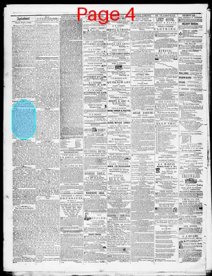 Page thumbnail for Belmont Chronicle