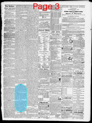 Page thumbnail for Belmont Chronicle