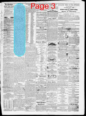 Page thumbnail for Belmont Chronicle