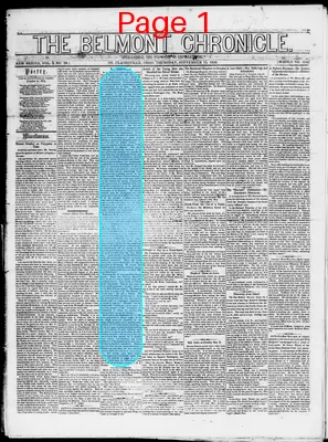 Page thumbnail for Belmont Chronicle