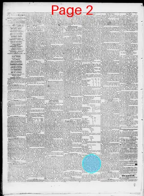 Page thumbnail for Belmont Chronicle