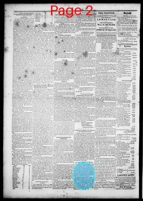 Page thumbnail for The Democratic Pioneer