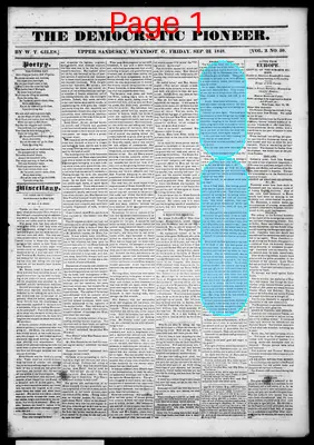 Page thumbnail for The Democratic Pioneer