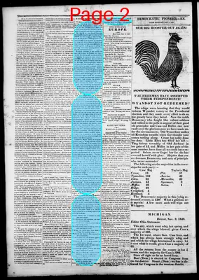 Page thumbnail for The Democratic Pioneer