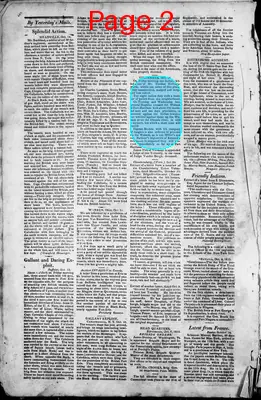 Page thumbnail for Freeman's Chronicle