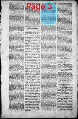 Page thumbnail for Freeman's Chronicle