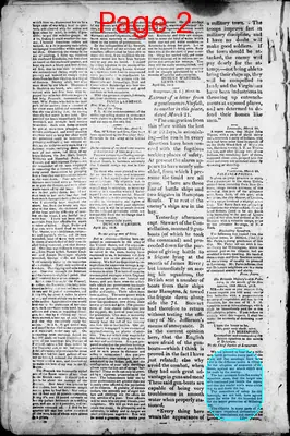 Page thumbnail for Freeman's Chronicle