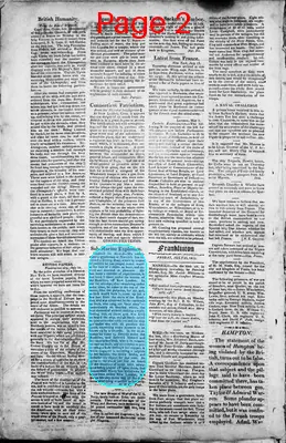 Page thumbnail for Freeman's Chronicle