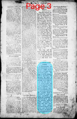 Page thumbnail for Freeman's Chronicle