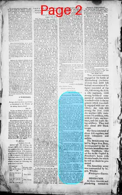 Page thumbnail for Freeman's Chronicle