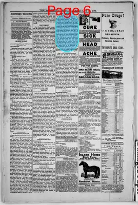 Page thumbnail for Northern Tribune