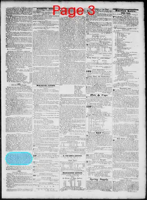 Page thumbnail for Daily Richmond Whig