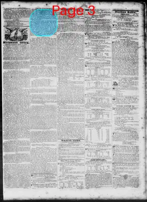 Page thumbnail for Daily Richmond Whig
