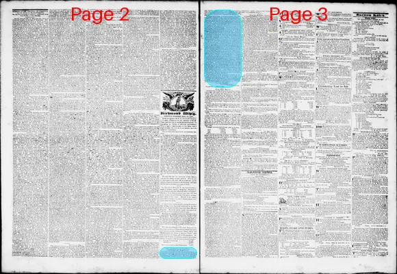 Page thumbnail for Daily Richmond Whig