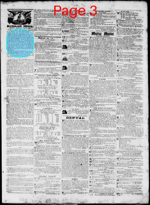 Page thumbnail for Daily Richmond Whig