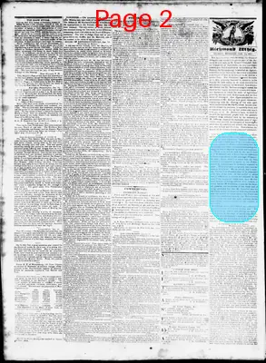 Page thumbnail for Daily Richmond Whig